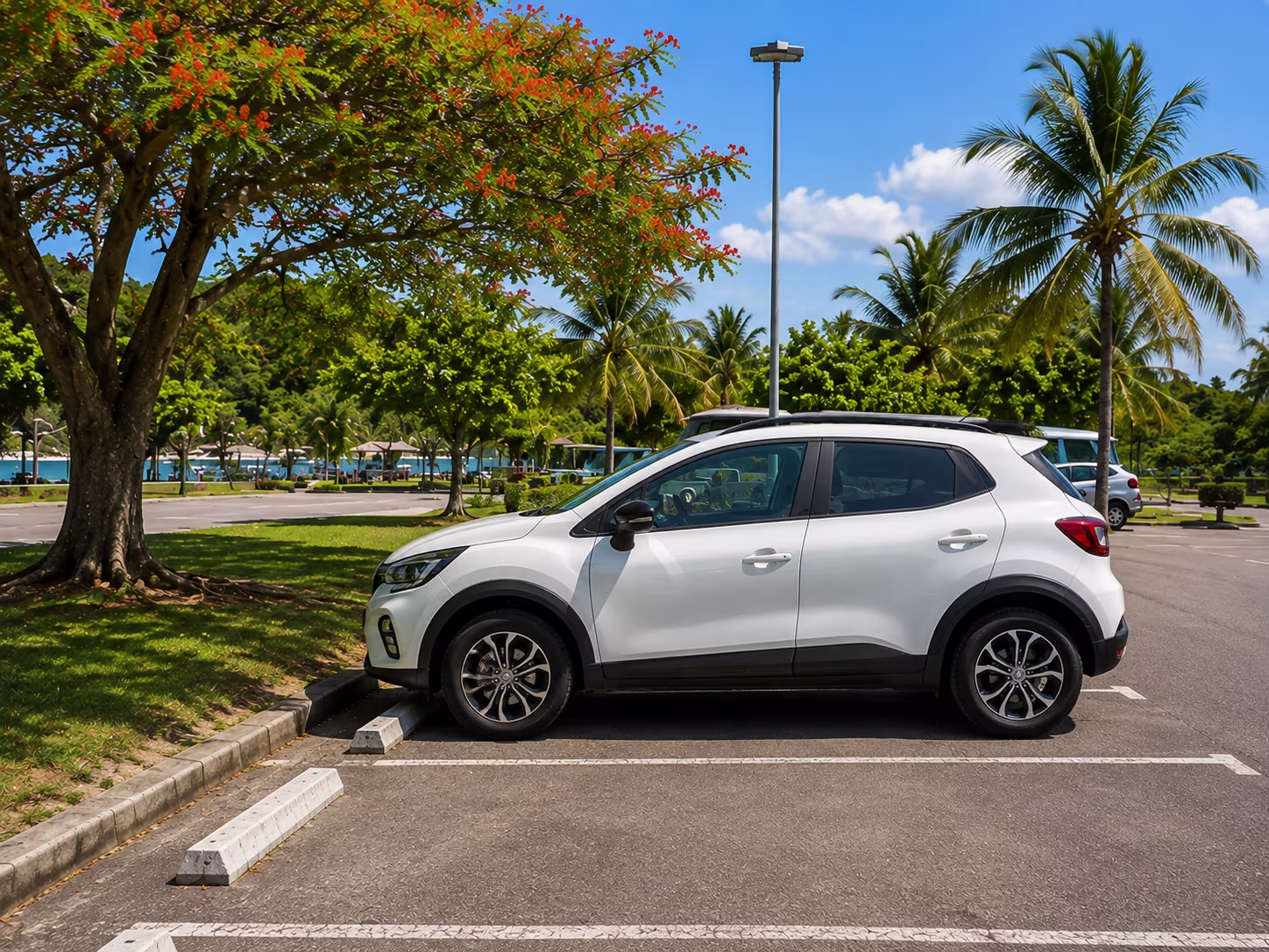 Choosing where to park your car in Martinique
