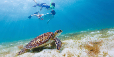Snorkeling en Martinique location de voiture 400x200