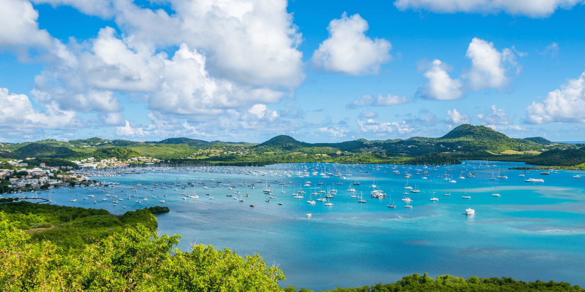 baie du marin location voiture martinique 1200 600
