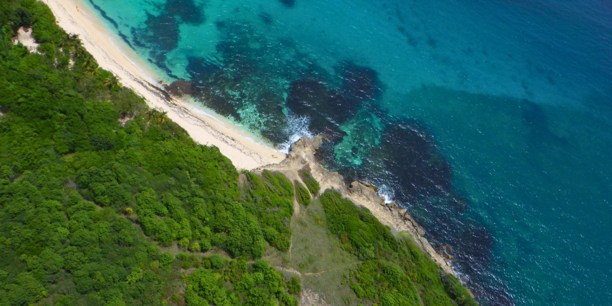 plage cap macre au marin martinique vu aerienne canva pro