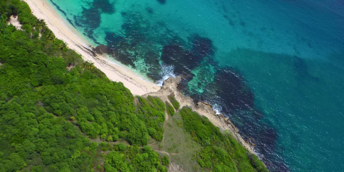 plage cap macre au marin martinique vu aerienne canva pro