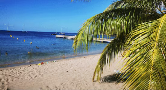 martinique-en-janvier