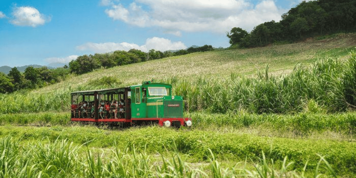 Les rails de la canne en Martinique