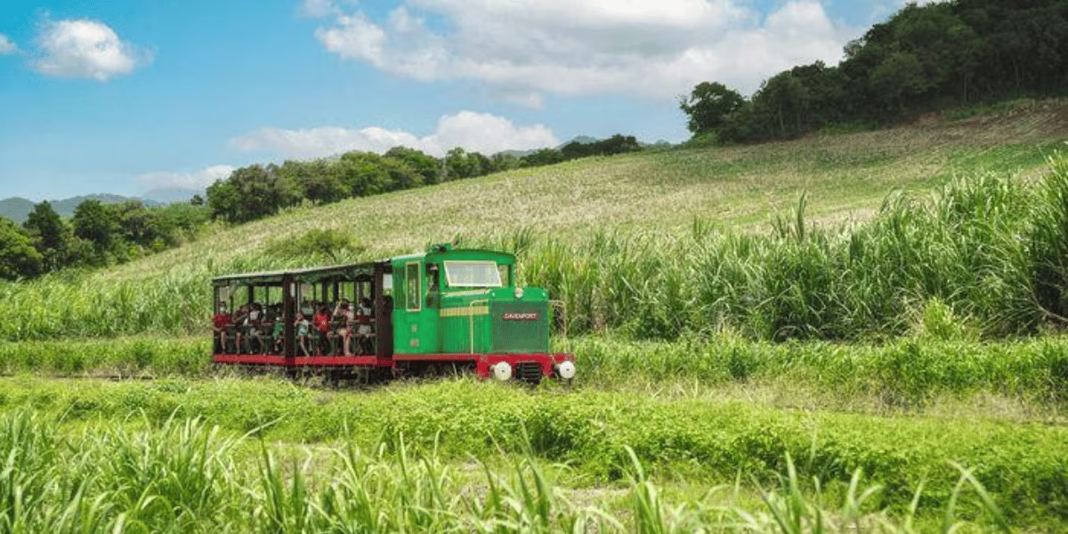 Les rails de la canne en Martinique
