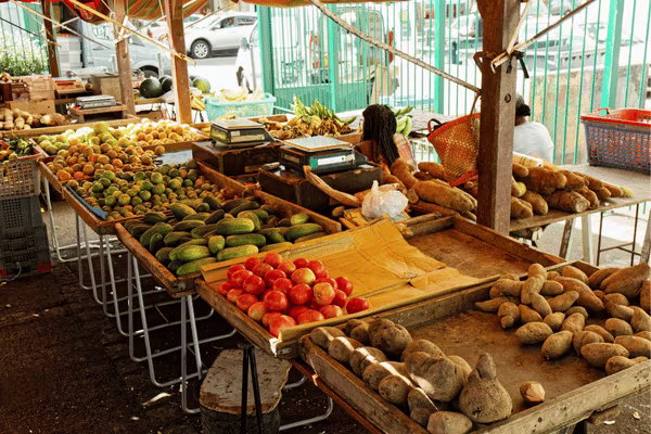 location voiture martinique marche fort de france