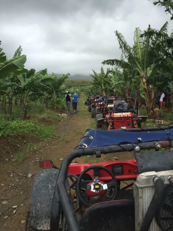 buggy-martinique