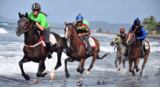 course-chevaux-plage-sainte-marie-martinique