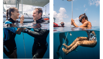 alice belaidi location voiture martinique partenaire europcar martinique 350x200