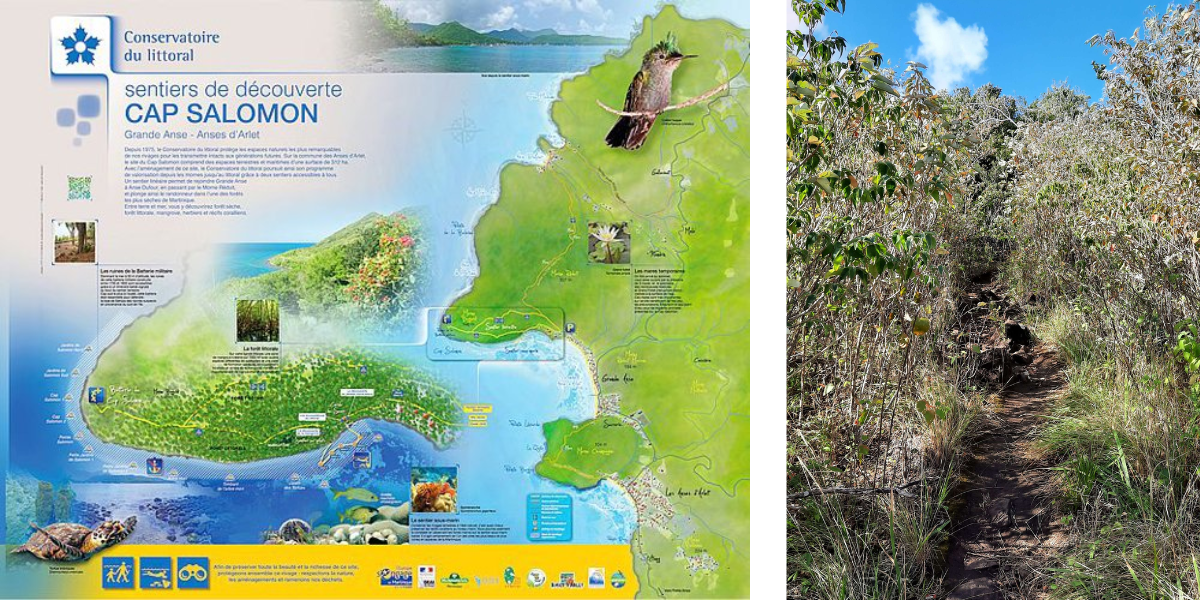 Les Anses d’Arlet (Martinique) – What to see, what to do – Cap Salomon coastal hike