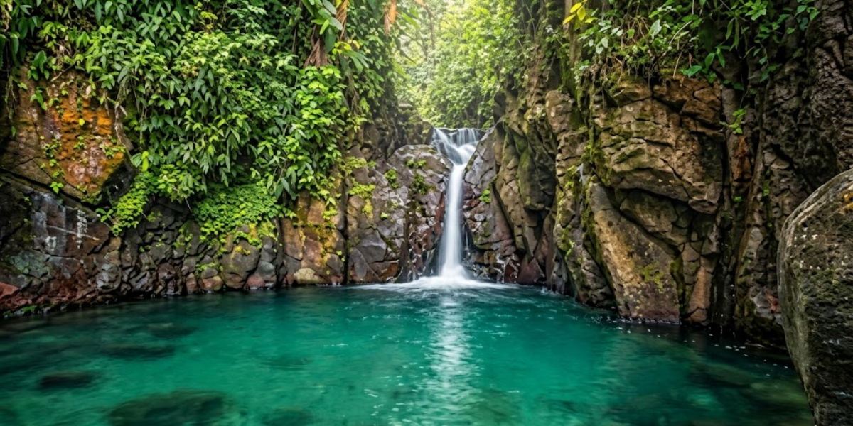 cascade absalon martinique