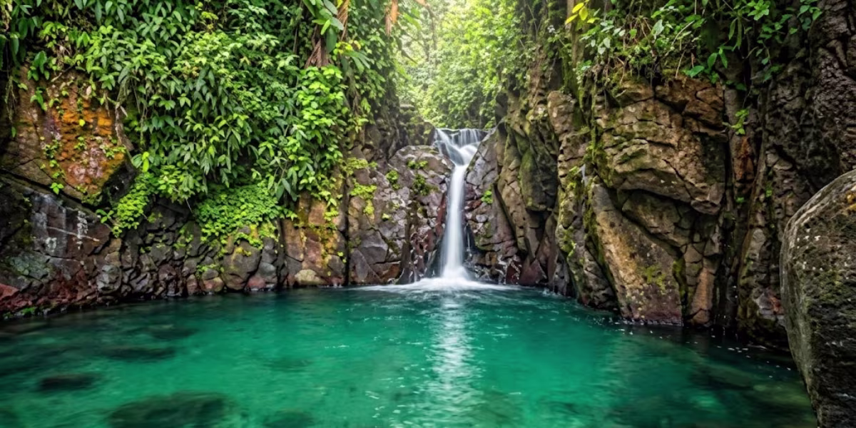 cascade absalon martinique