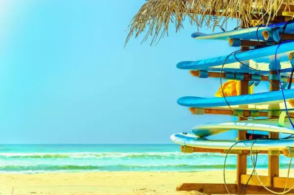 activite-haute-saison-martinique