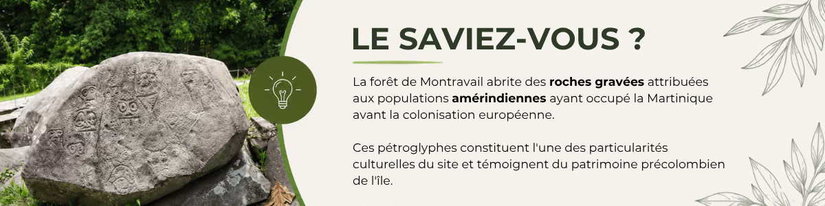 Le saviez-vous ? Des roches gravées amérindiennes