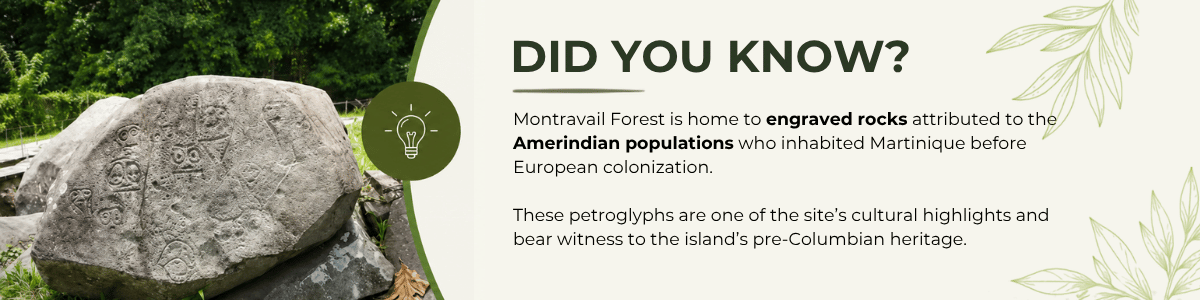 Did you know? Native American petroglyphs