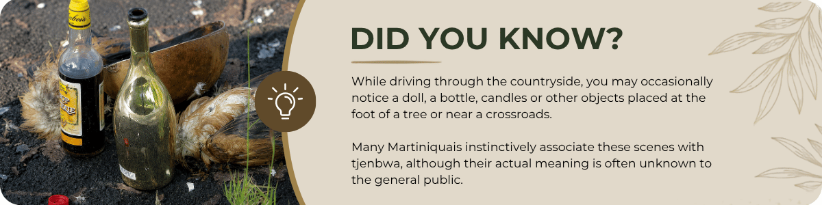Did You Know? Quimbois in Martinique