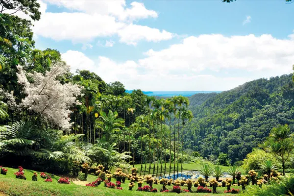 excursion-nord-martinique