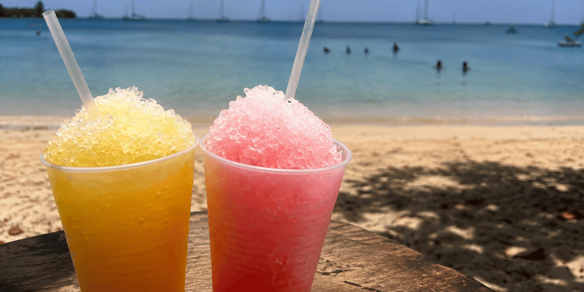 Sinobol sur la plage de la Pointe Marin à Sainte-Anne, Martinique
