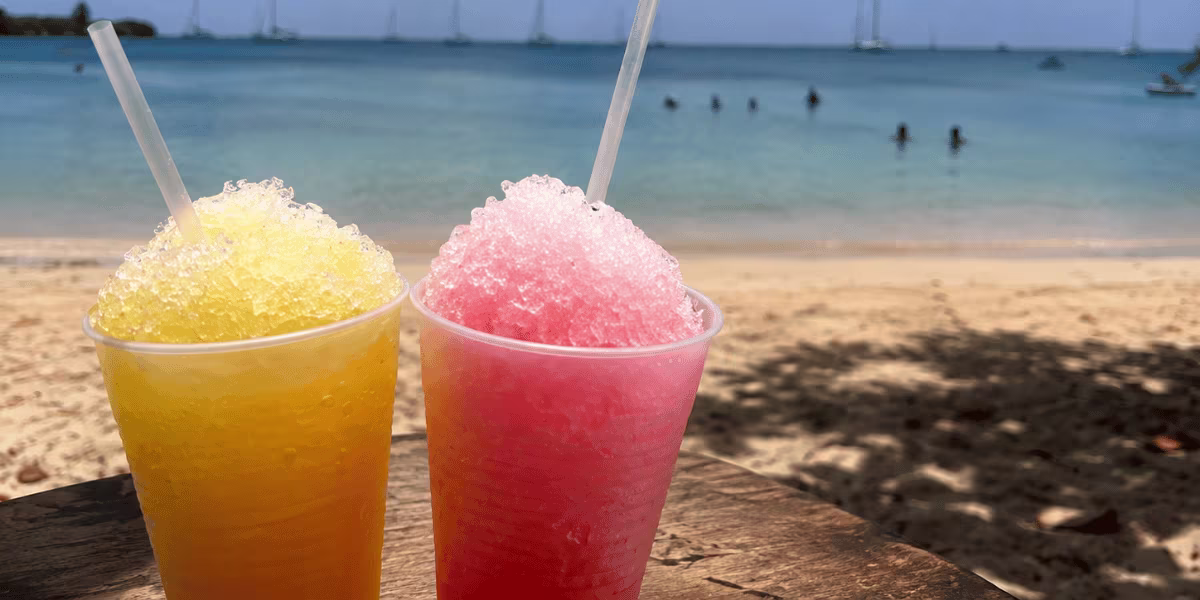 Sinobol sur la plage de la Pointe Marin à Sainte-Anne, Martinique