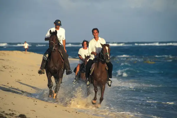 balade-cheval-martinique