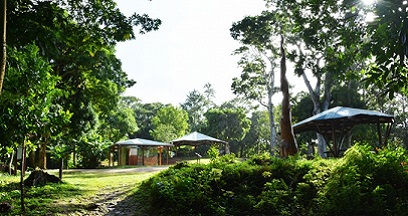 Hike in the forest in Sainte-Luce