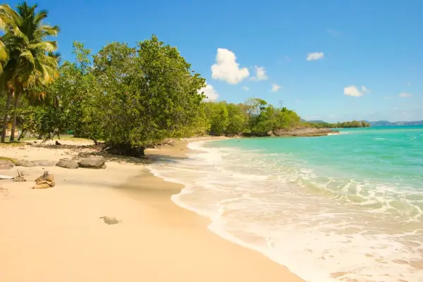 sainte-luce in martinique