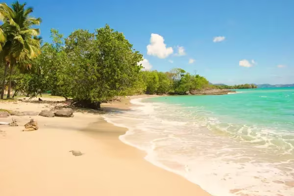 sainte-luce en martinique