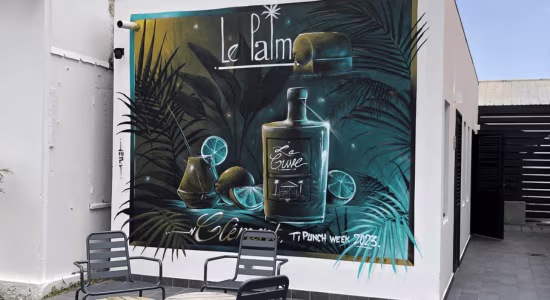 espace-detente-le-restaurant-le-palm-europcar-martinique