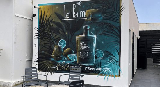 espace-detente-le-restaurant-le-palm-europcar-martinique