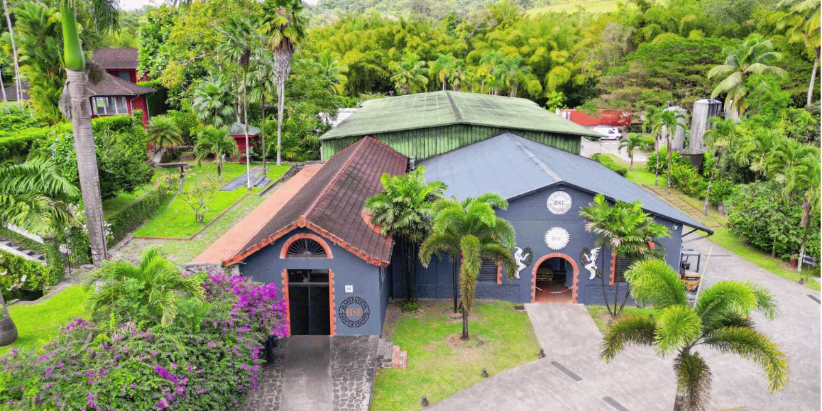 1200x600 la distillerie Martinique HSE saint-etienne