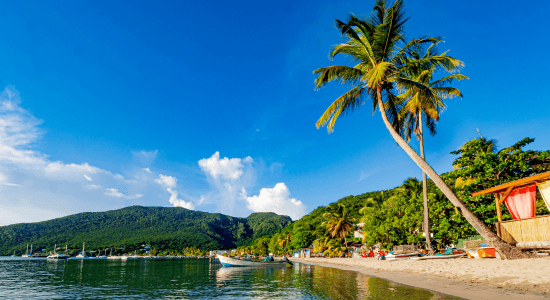 anses-darlet-martinique