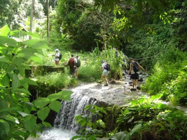 randonnées-martinique
