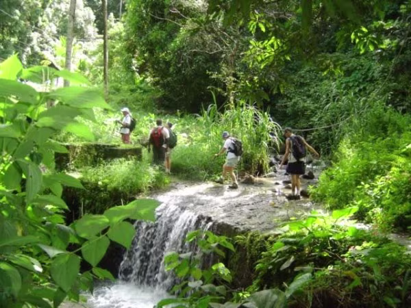 randonnées-martinique