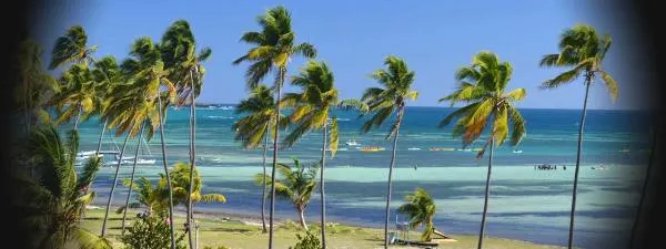 plage-pointe-faula-spot-kitesurf