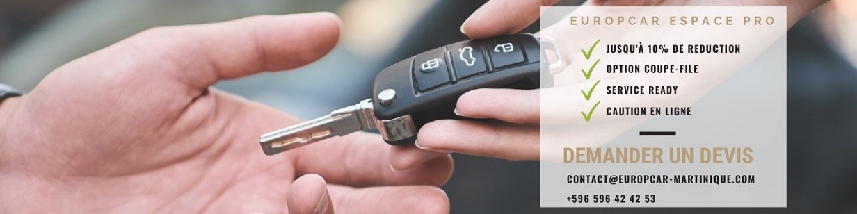 espace-pro-location-voiture-martinique1232-308