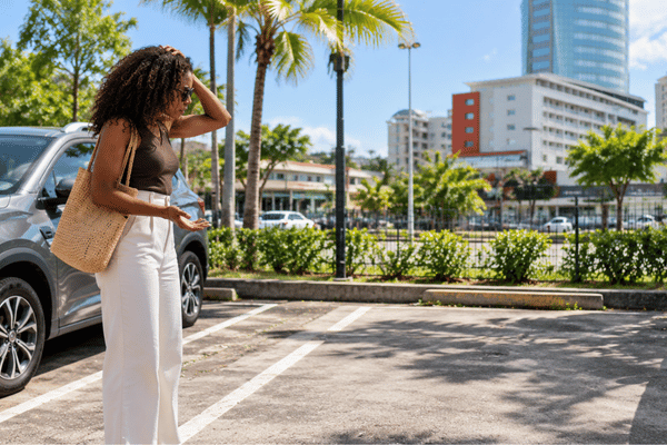 Vehicle Theft Protection (THW)
