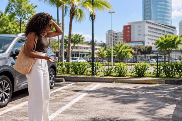 Vehicle Theft Protection (THW)