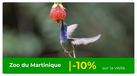 zoo de martinique remise europcar martinique