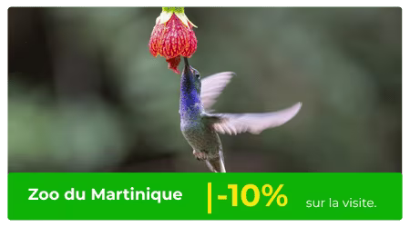 zoo de martinique remise europcar martinique