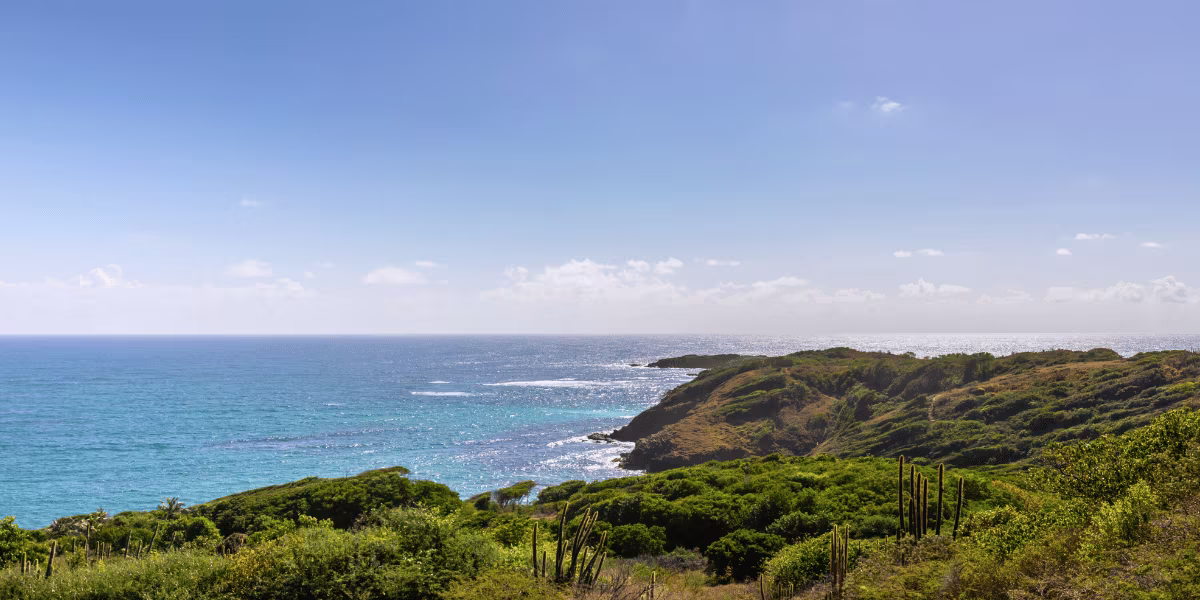 sainte anne en martinique