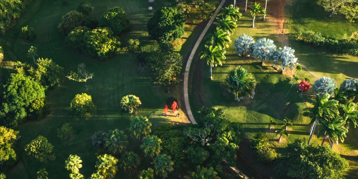 jardin habitation clement location voiture martinique source fondation clement 1200x600