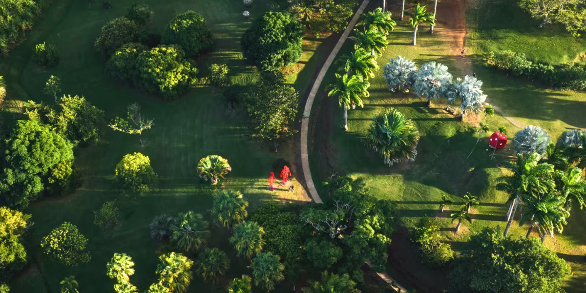 jardin habitation clement location voiture martinique source fondation clement 1200x600