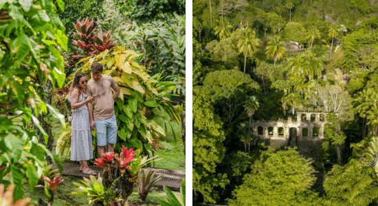 jardin-de-balata-martinique-juin
