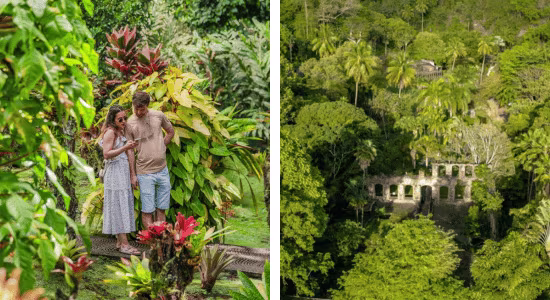 rental-car-jardin-of-balata