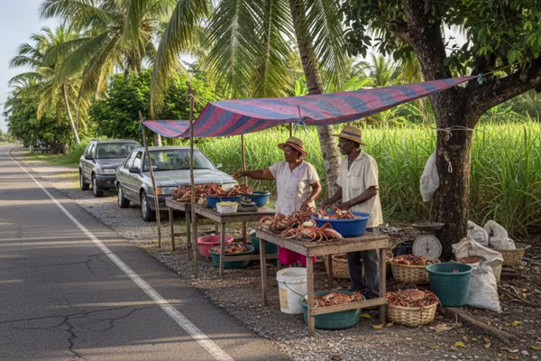 location voiture martinique paque marchandes crabe gemini pro 600x400
