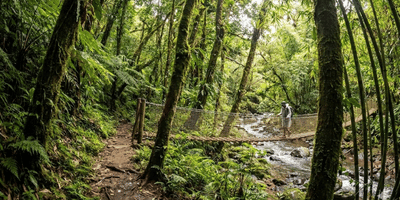 trace de jesuites location voiture martinique europcar gemini pro 400x200