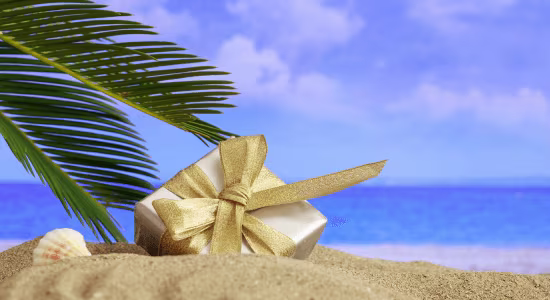 noel-soleil-martinique