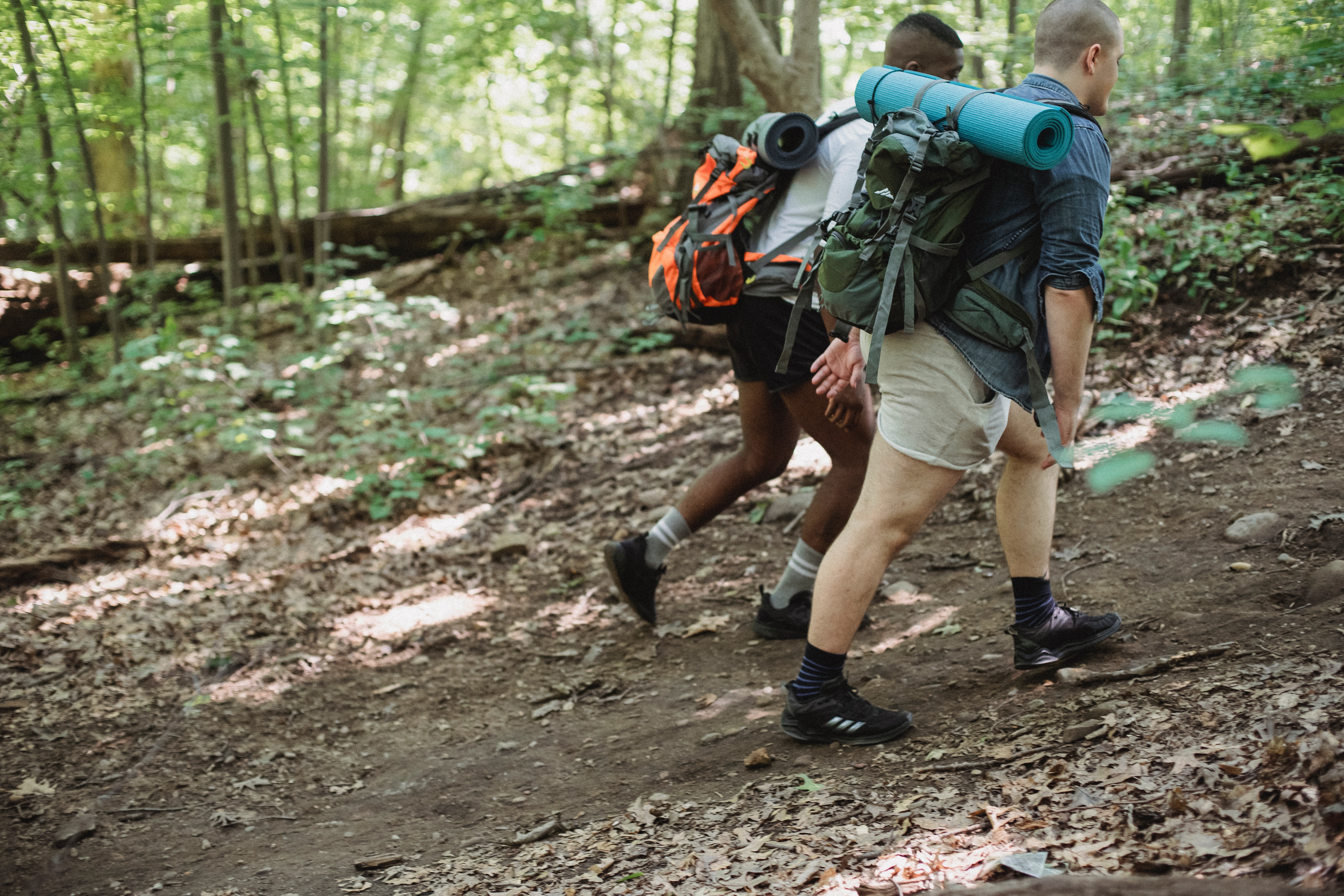 Two men walking in the forest for the health benefits