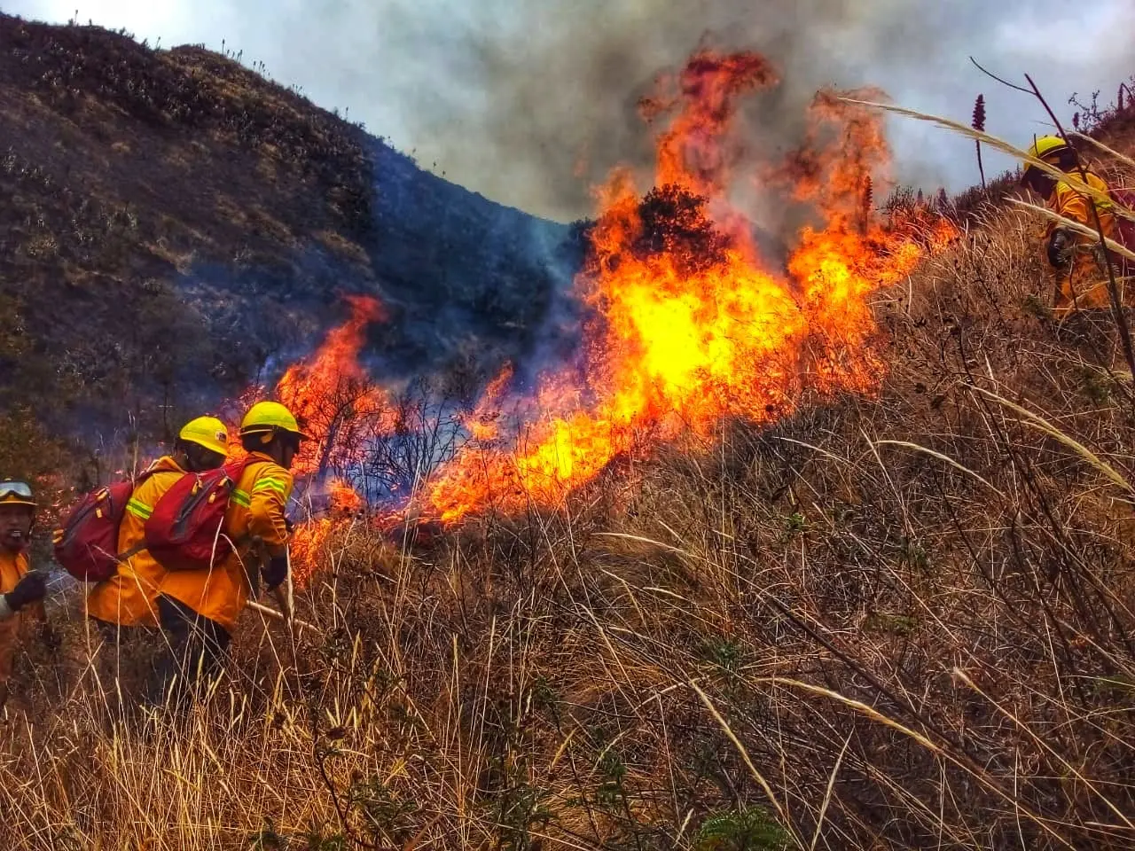 Cusco registra 191 incendios forestales que han afectado más de 10 mil hectáreas