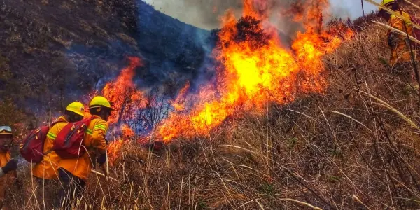 Cusco registra 191 incendios forestales que han afectado más de 10 mil hectáreas