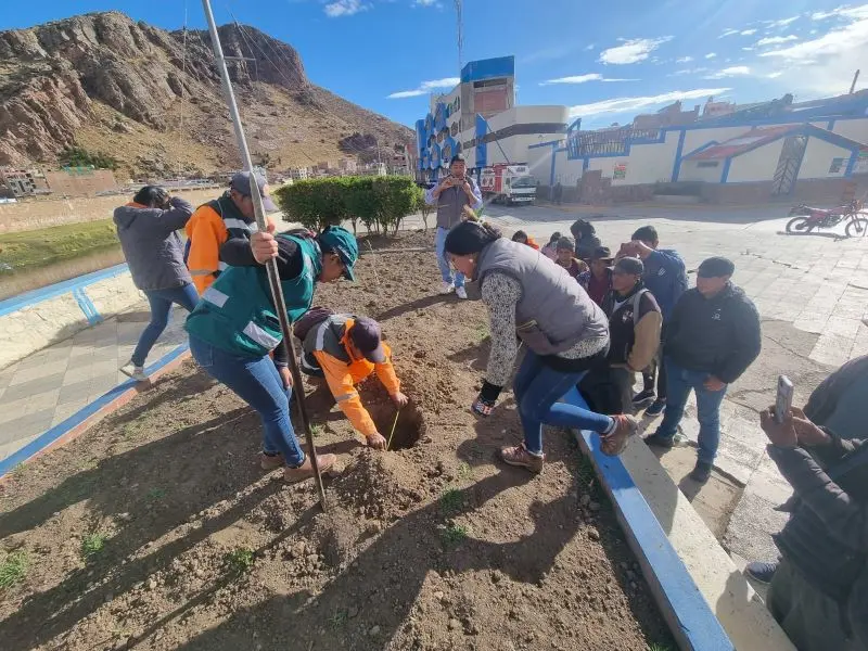 SERFOR proyecta plantar 30 mil árboles en 5 provincias de Puno
